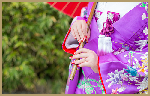 8月限定サマープラン