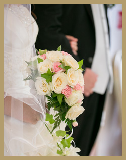 8月限定サマープラン